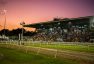 The Biggest Horse Racing Event in the Caribbean Returns