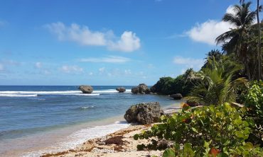 Keep fit and drink lots of rum: Running a Barbados marathon is the perfect way to see the Caribbean